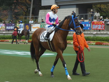 2010/11/14 東京04R