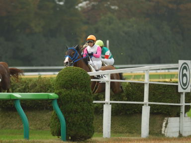 2010/11/14 東京04R
