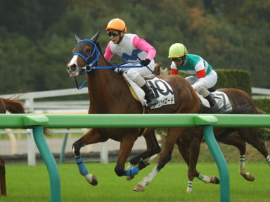 2010/11/14 東京04R