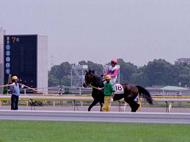 2003/06/08 東京07R