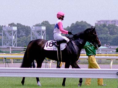 2003/06/08 東京07R