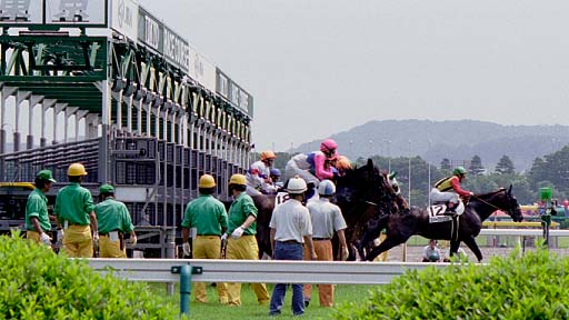 2003/06/08 東京07R