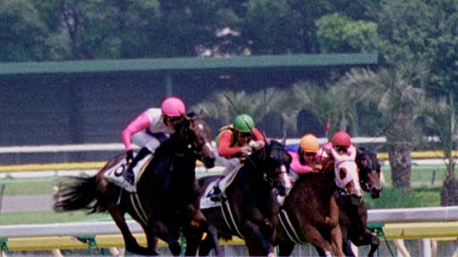 2003/06/08 東京07R