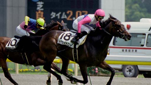 2003/06/08 東京07R