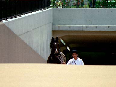 2003/06/08 東京07R
