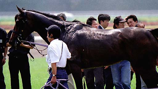 2003/06/08 東京07R