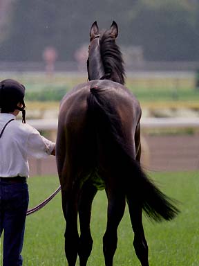 2003/06/08 東京07R
