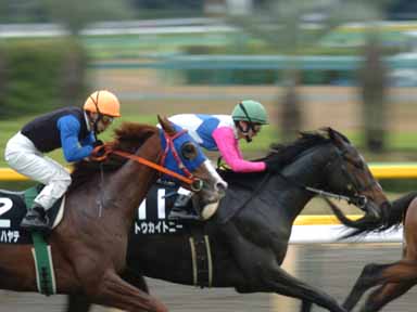 2003/11/30 東京09R