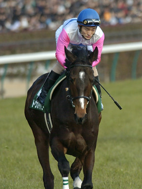 2004/02/15 東京11R