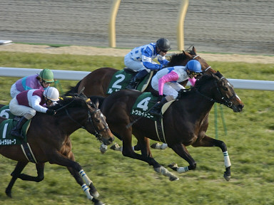 2004/02/15 東京11R