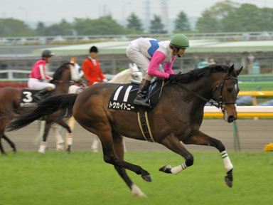 2006/04/29 東京10R