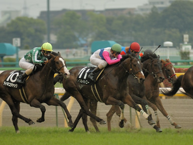 2006/04/29 東京10R