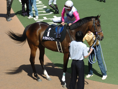 2006/05/20 東京10R