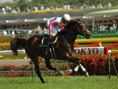 2006/05/20 東京10R