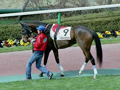 2002/03/16 中京08R