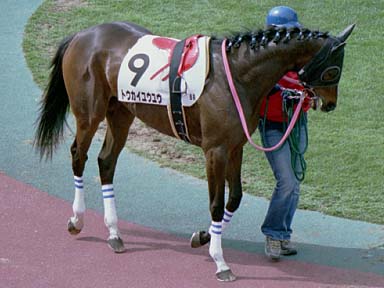 2002/03/16 中京08R