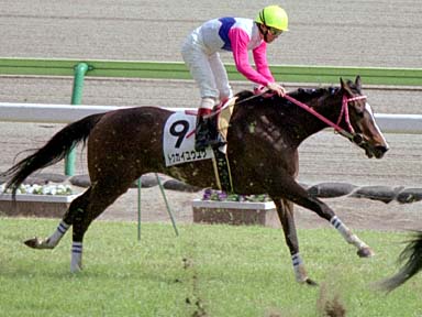 2002/03/16 中京08R