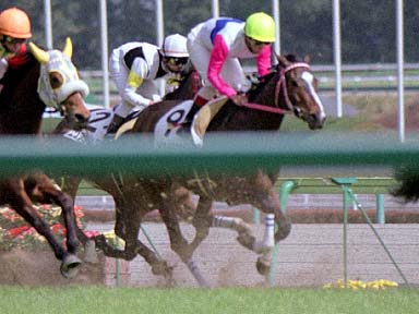 2002/03/16 中京08R