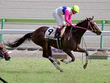 2002/03/16 中京08R