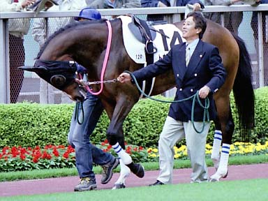 2002/05/11 東京12R