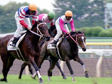 2002/05/11 東京12R