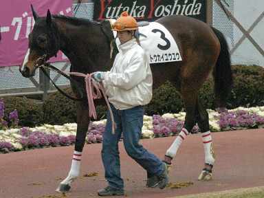 2004/01/24 中山12R
