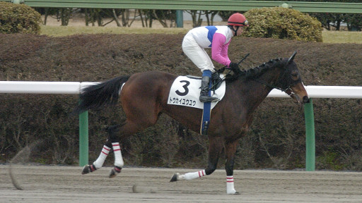 2004/01/24 中山12R