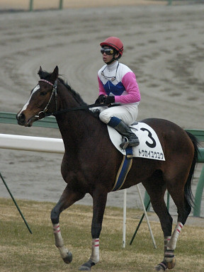 2004/01/24 中山12R