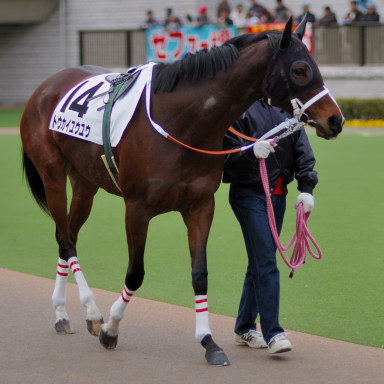 2005/02/12 東京12R