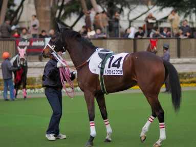 2005/02/12 東京12R