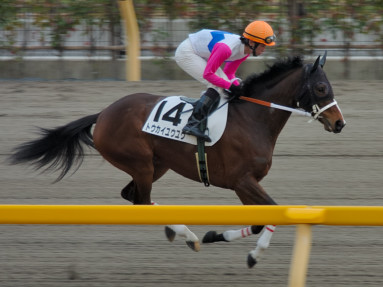 2005/02/12 東京12R