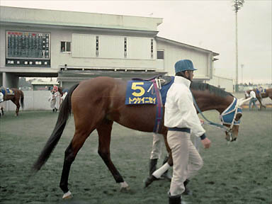1993/11/23 水沢09R
