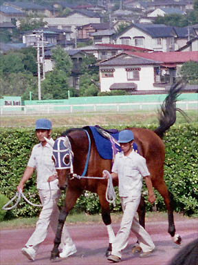 1994/07/31 盛岡09R