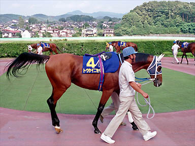 1994/07/31 盛岡09R