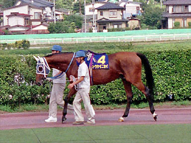 1994/07/31 盛岡09R