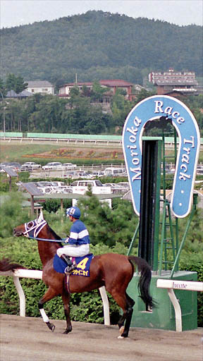1994/07/31 盛岡09R