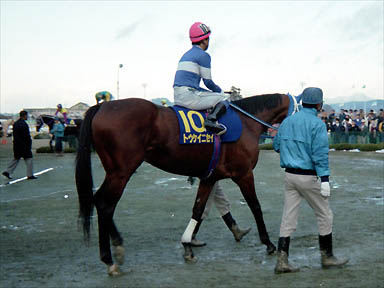 1994/12/05 水沢09R