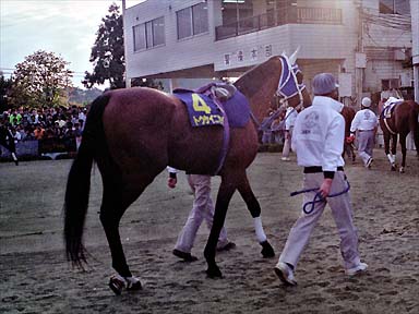 1995/10/10 水沢10R
