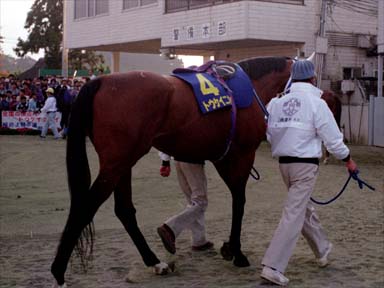 1995/10/10 水沢10R