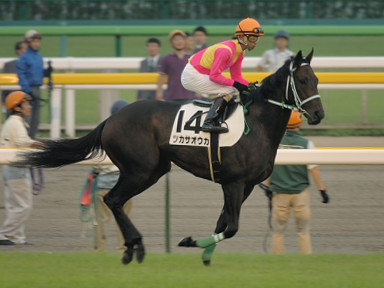 2007/10/08 東京12R