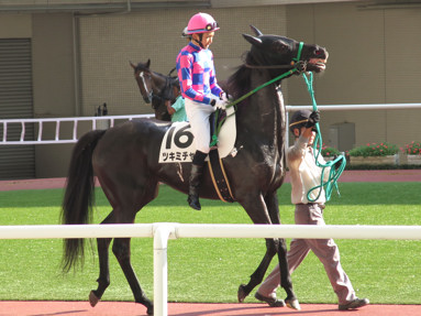 2016/09/11 阪神12R