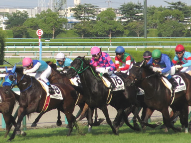 2016/09/11 阪神12R