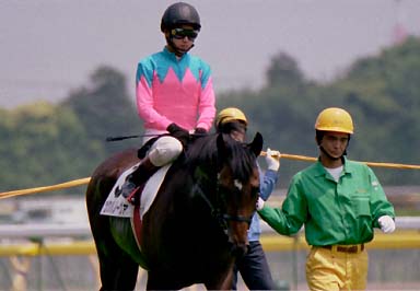 2003/06/08 07R
