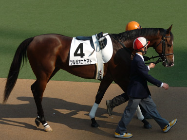 2005/11/27 東京06R