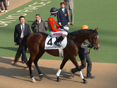 2005/11/27 東京06R