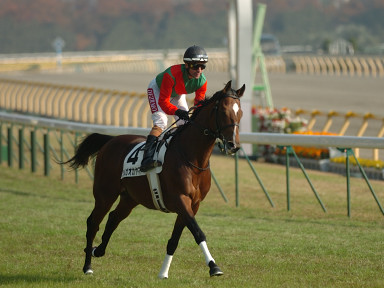 2005/11/27 東京06R