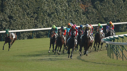 2005/11/27 東京06R