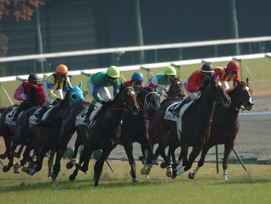 2005/11/27 東京06R