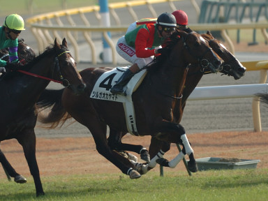 2005/11/27 東京06R