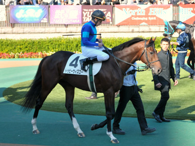 2013/11/24 東京06R